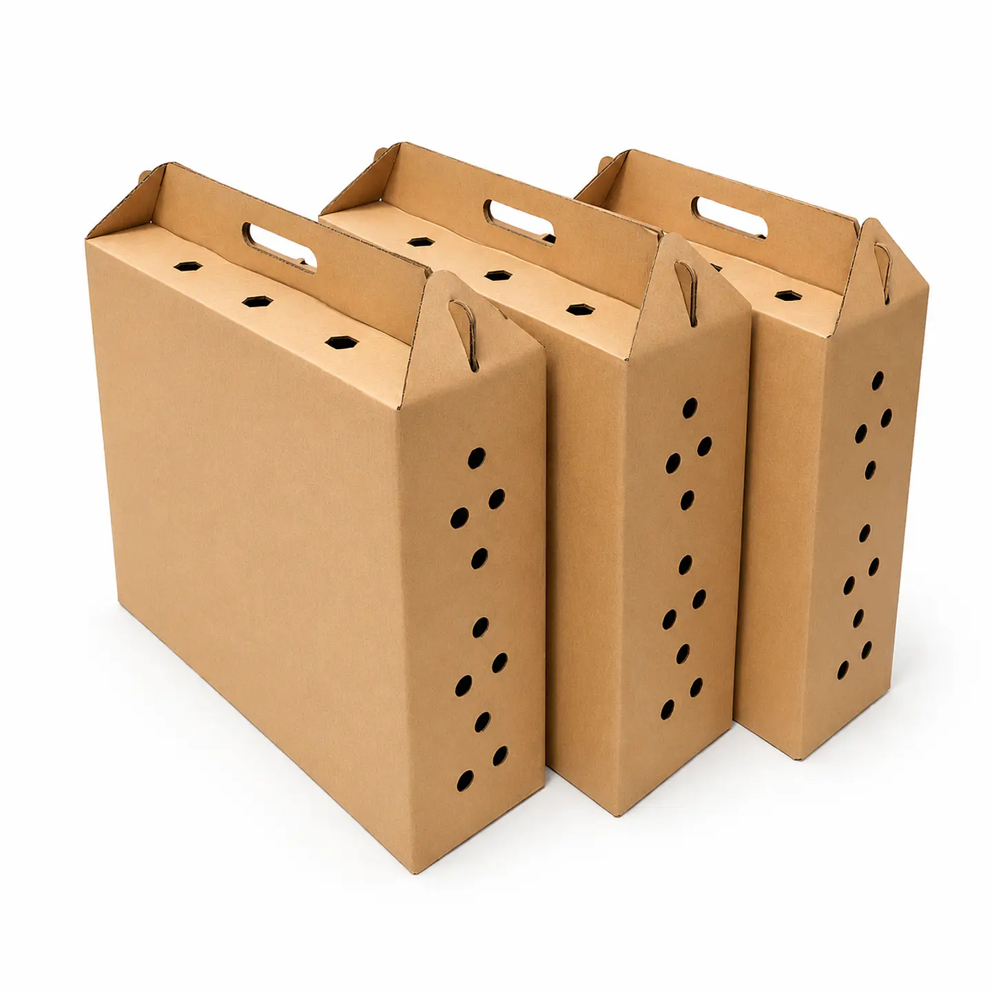 5 Cajas Para Transporte De Gallos De Pelea 2