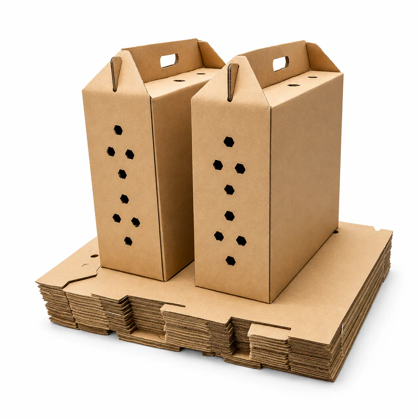 5 Cajas Para Transporte De Gallos De Pelea 4