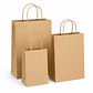  20 Bolsas Ecologicas  Manija Trenzada 33x17x23 Kraft Pack - Miniatura 4