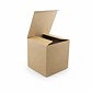 Caja Cubo De 20x20x20 Cms Troquelada X 20 Unidades - Miniatura 4