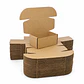 Paquete X 100 Unidades Caja En Carton Automatica 17.5x11.5x8- COPIAR - Miniatura 1