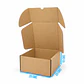 30 Cajas Con Desperfectos En La Impresión De 20x20x10 Marrón Claro - Miniatura 3