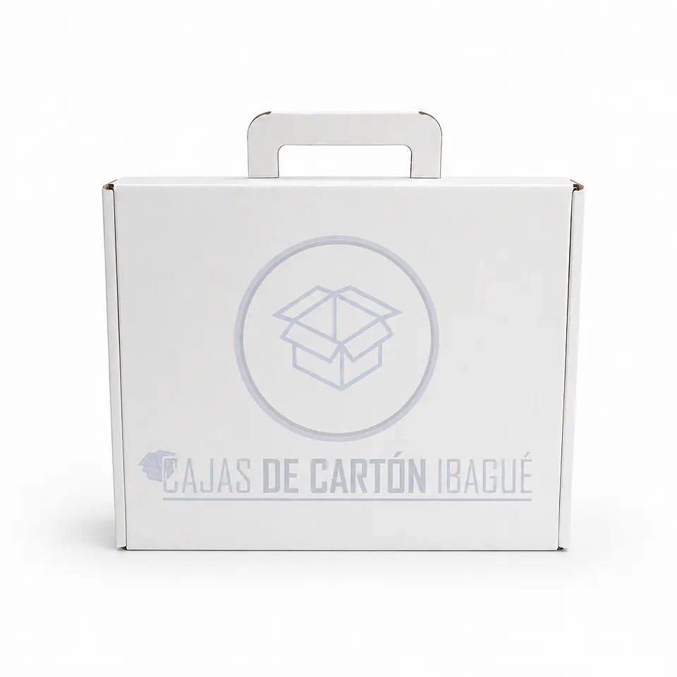 Caja Maletín Blanca 30x25x10 3