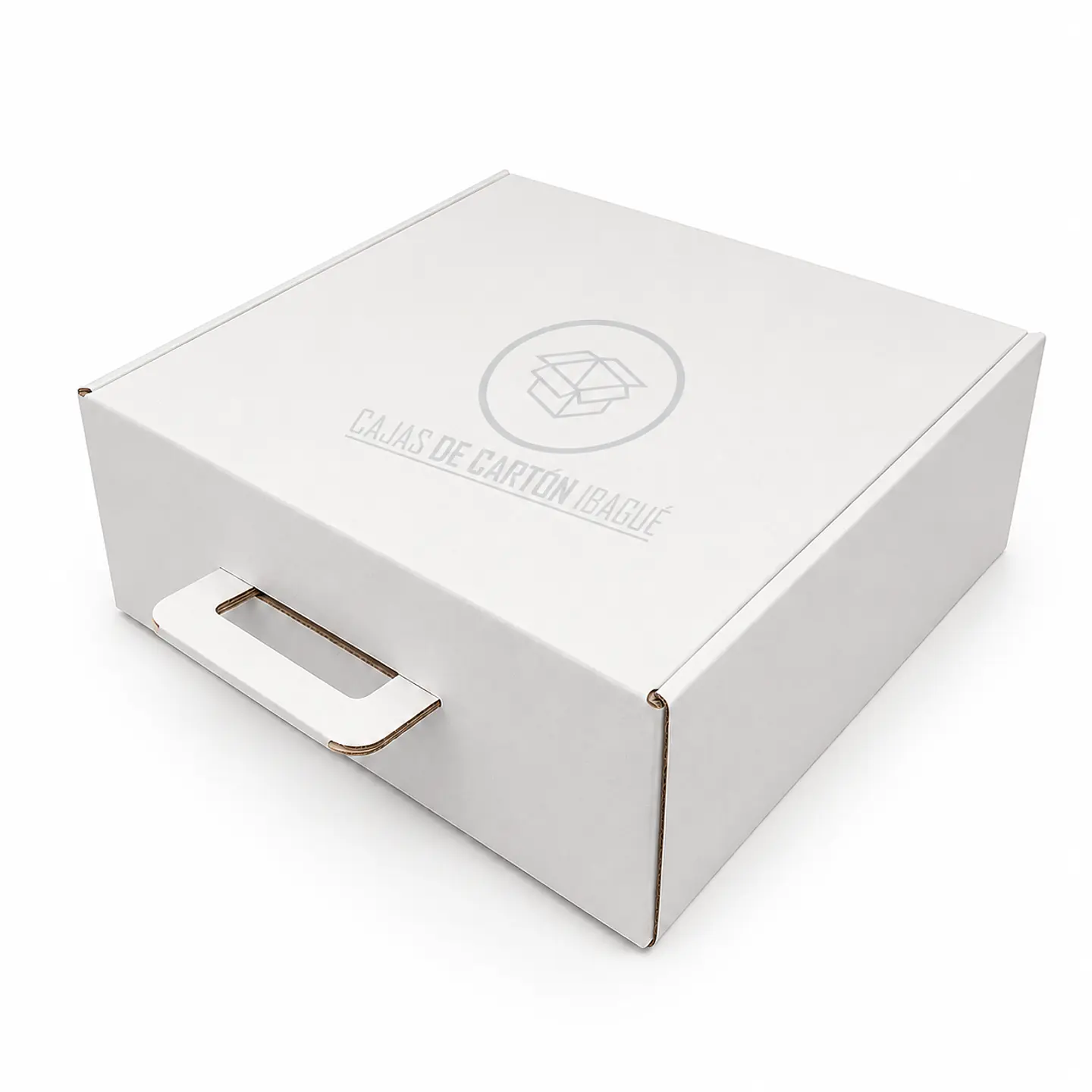 Caja Maletín Blanca 30x25x10 4