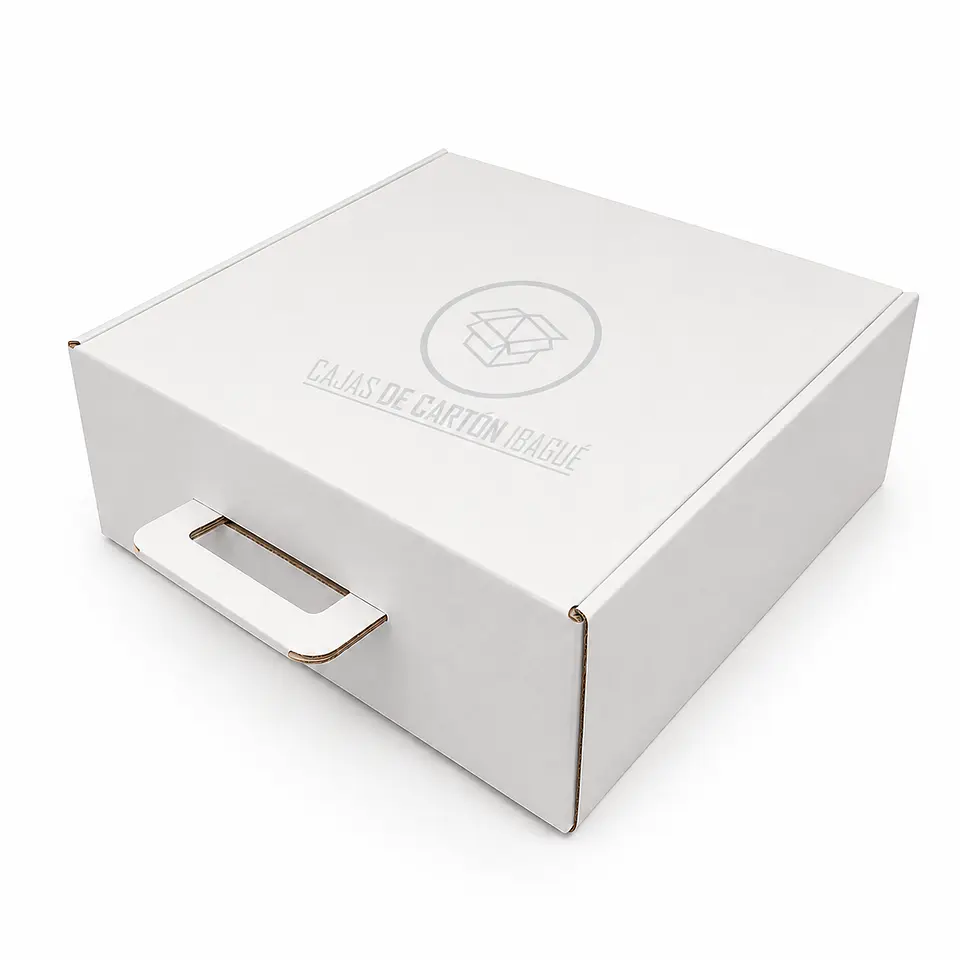 Caja Maletín Blanca 30x25x10 4