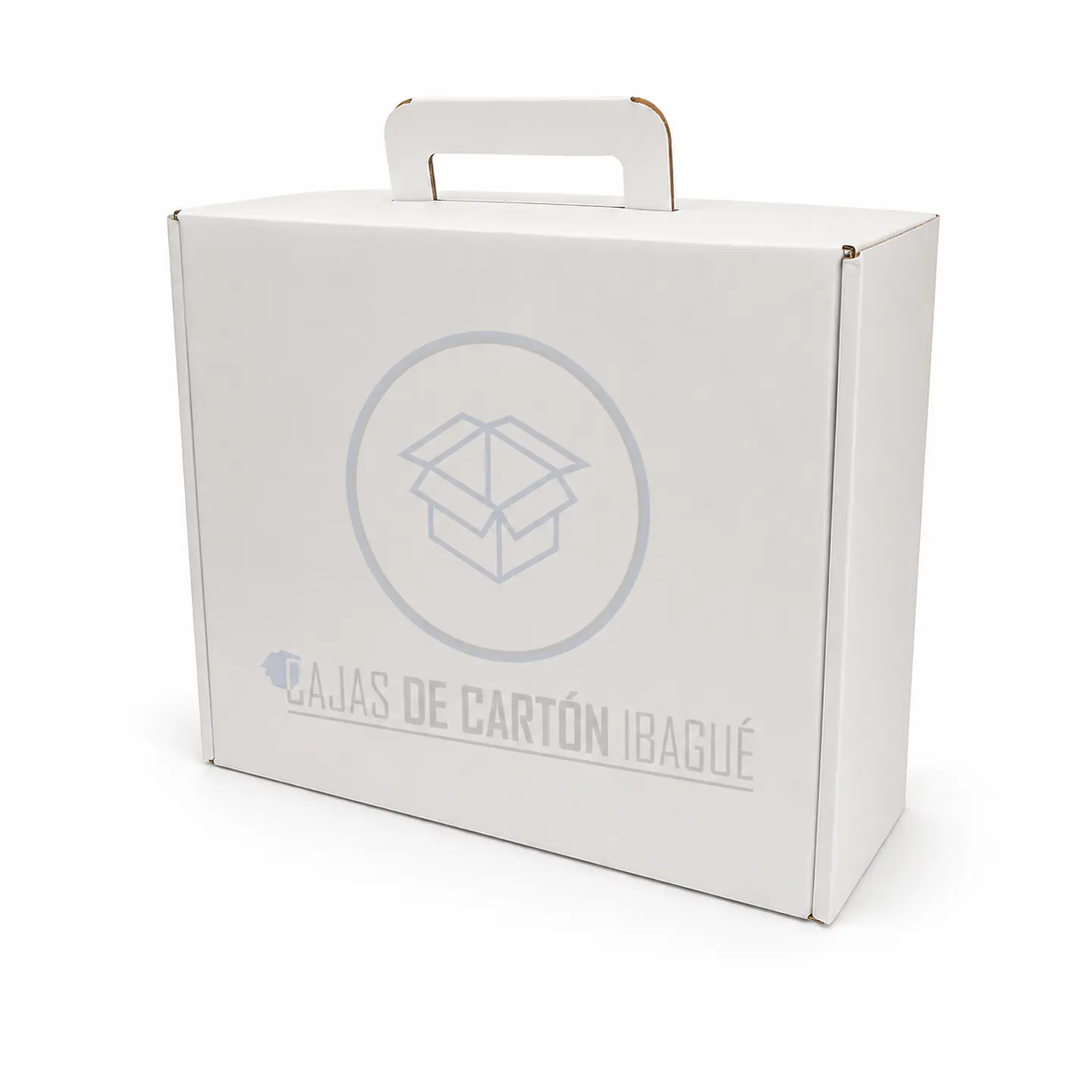 Caja Maletín Blanca 30x25x10 5