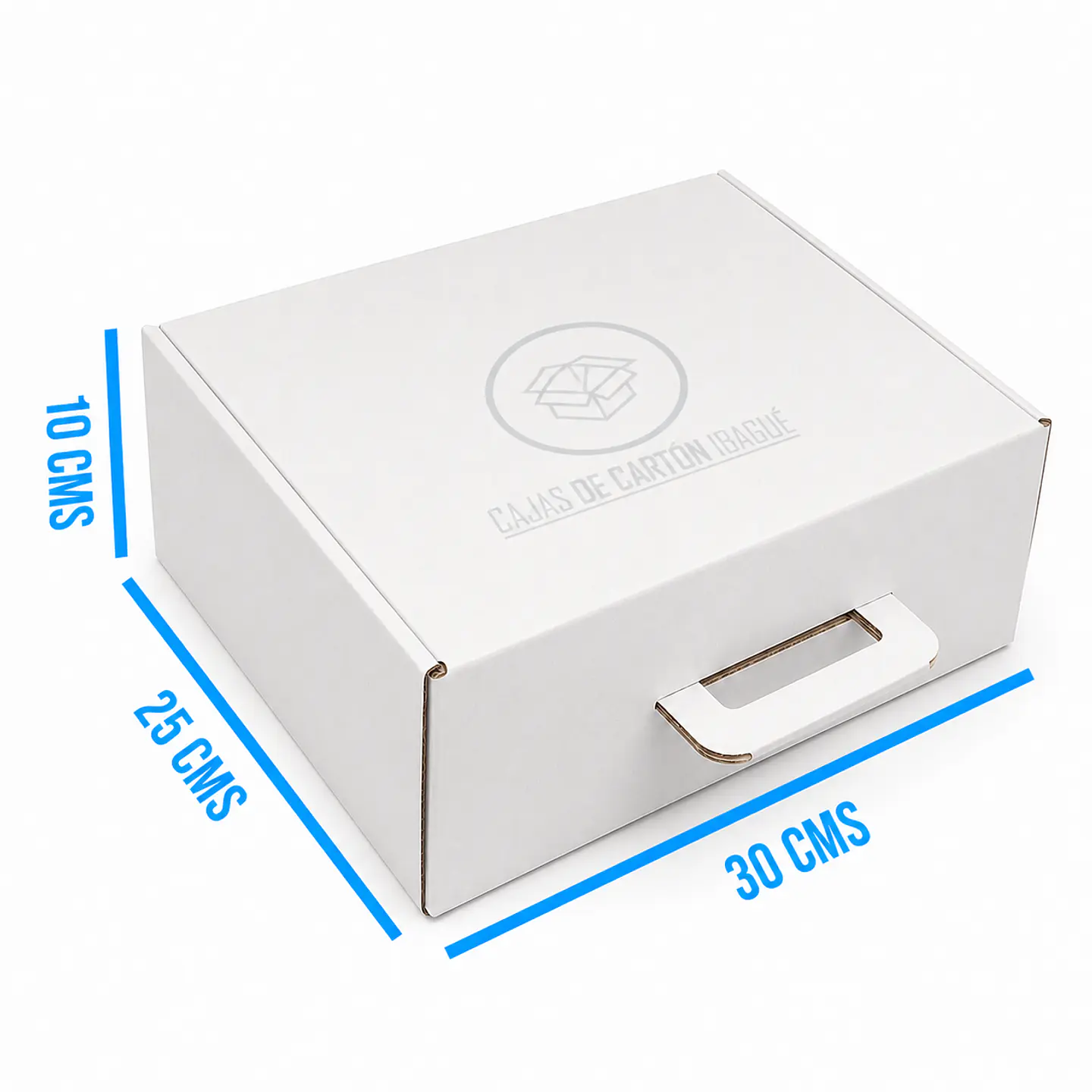 Caja Maletín Blanca 30x25x10 2
