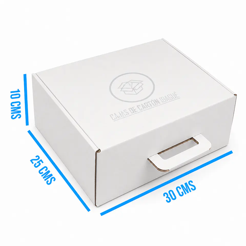 Caja Maletín Blanca 30x25x10 2