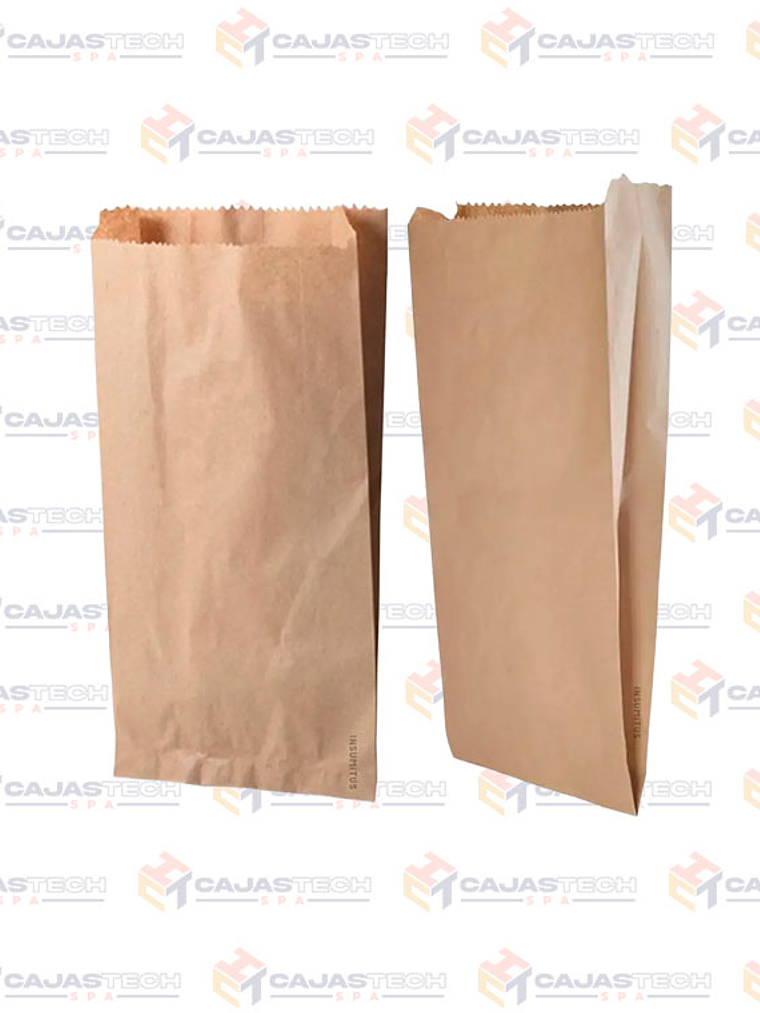 Saco papel 3kg x100 1