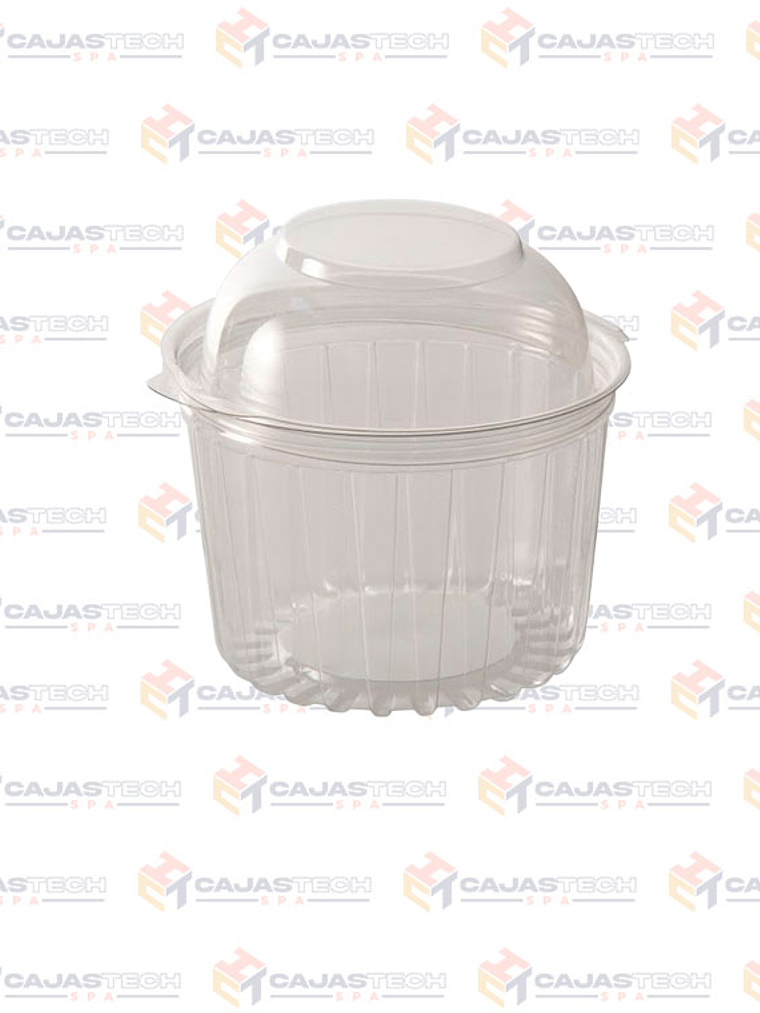 Pote 40098DL x50uni 1