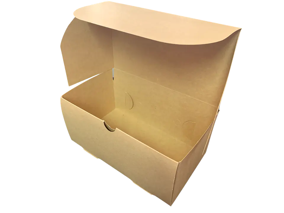 Caja Delivery - Cartulina  4