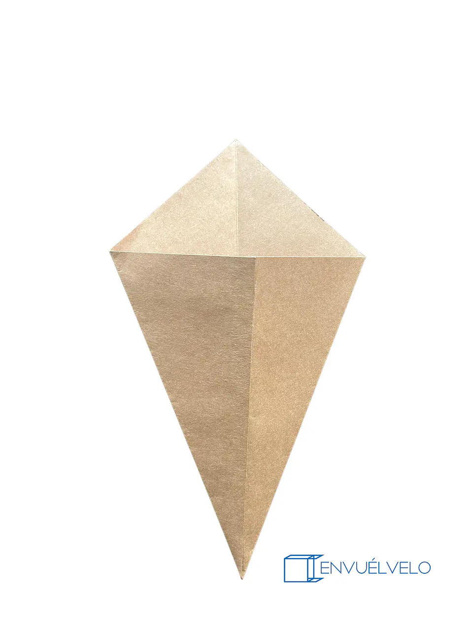 Cono de papas fritas 9