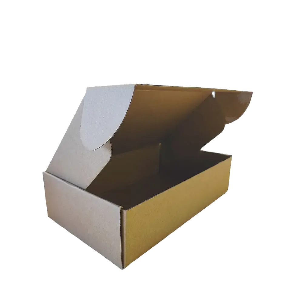 Caja de envío autoarmable 4