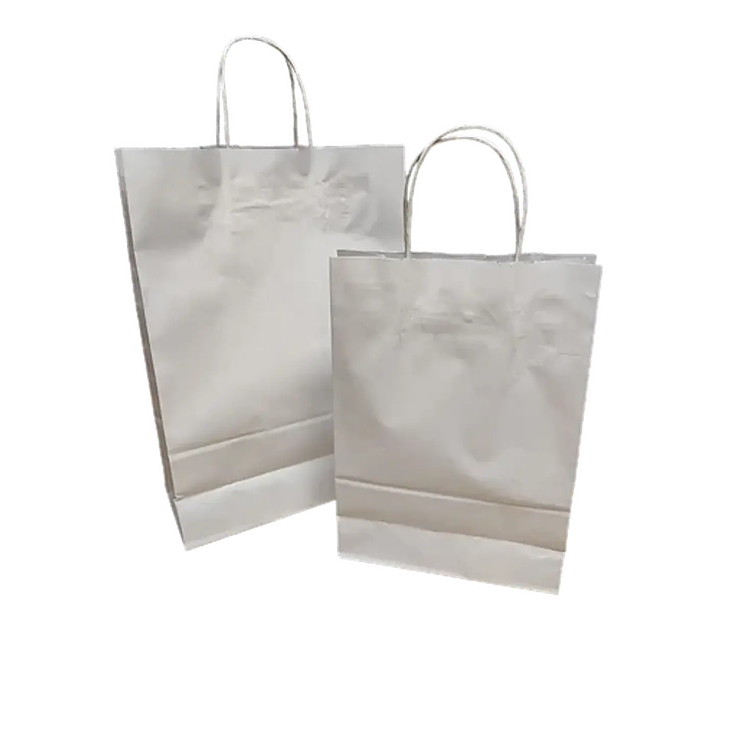 Bolsas de Papel 2