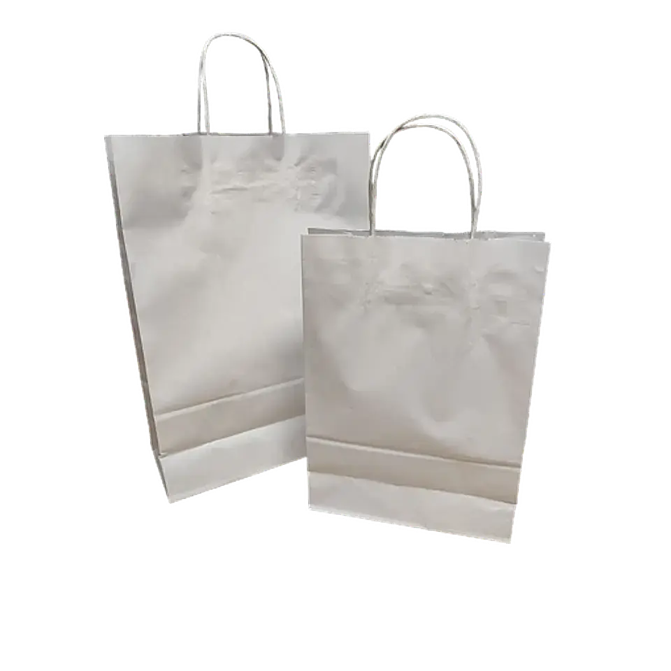 Bolsas de Papel 2