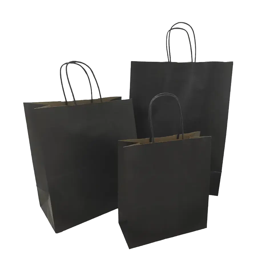 Bolsas de Papel 3