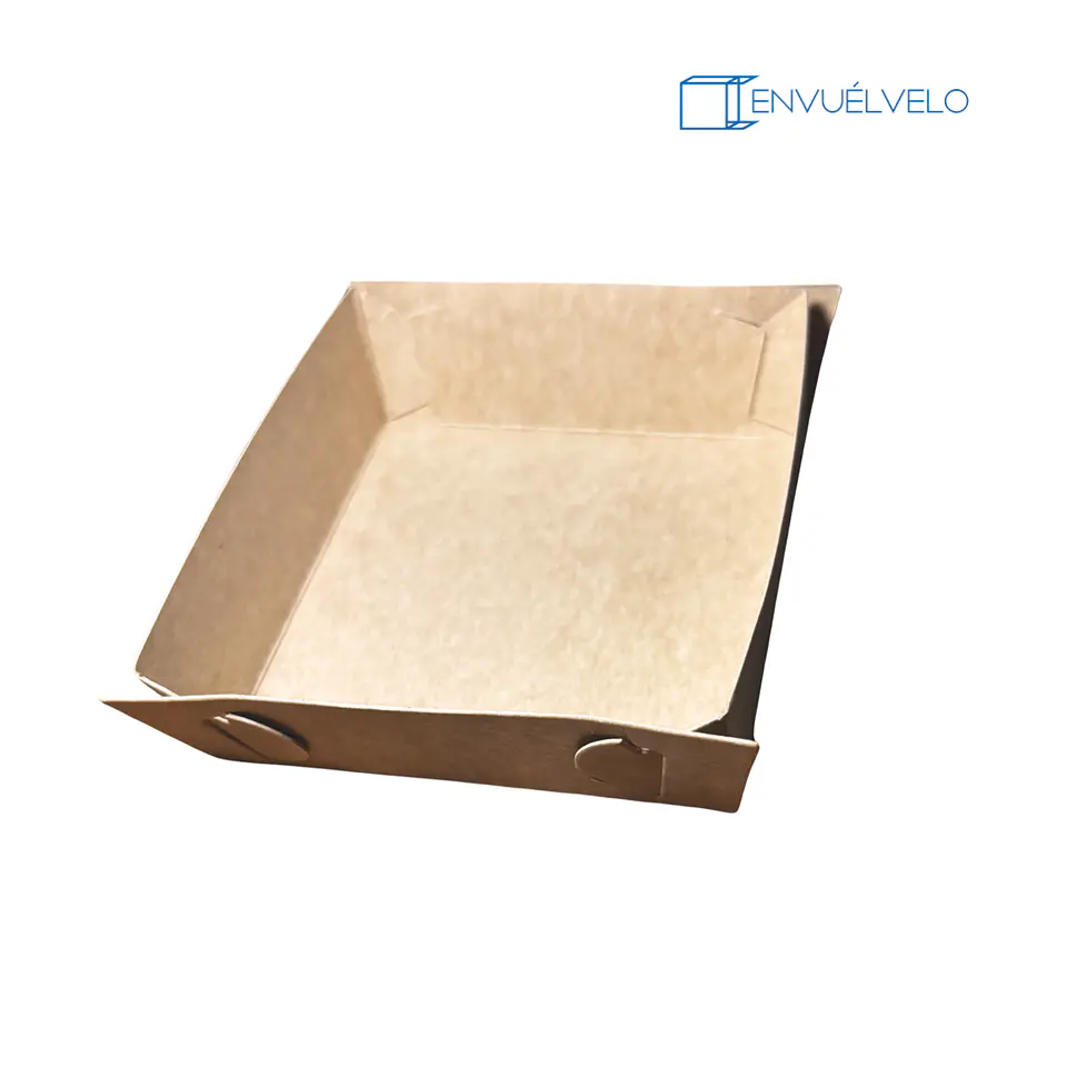 Bandeja de alimentos 1