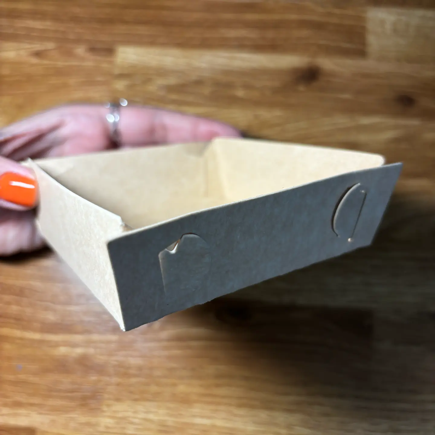 Bandeja de alimentos 3