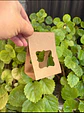 Caja para esferas o chocolates - Miniatura 3