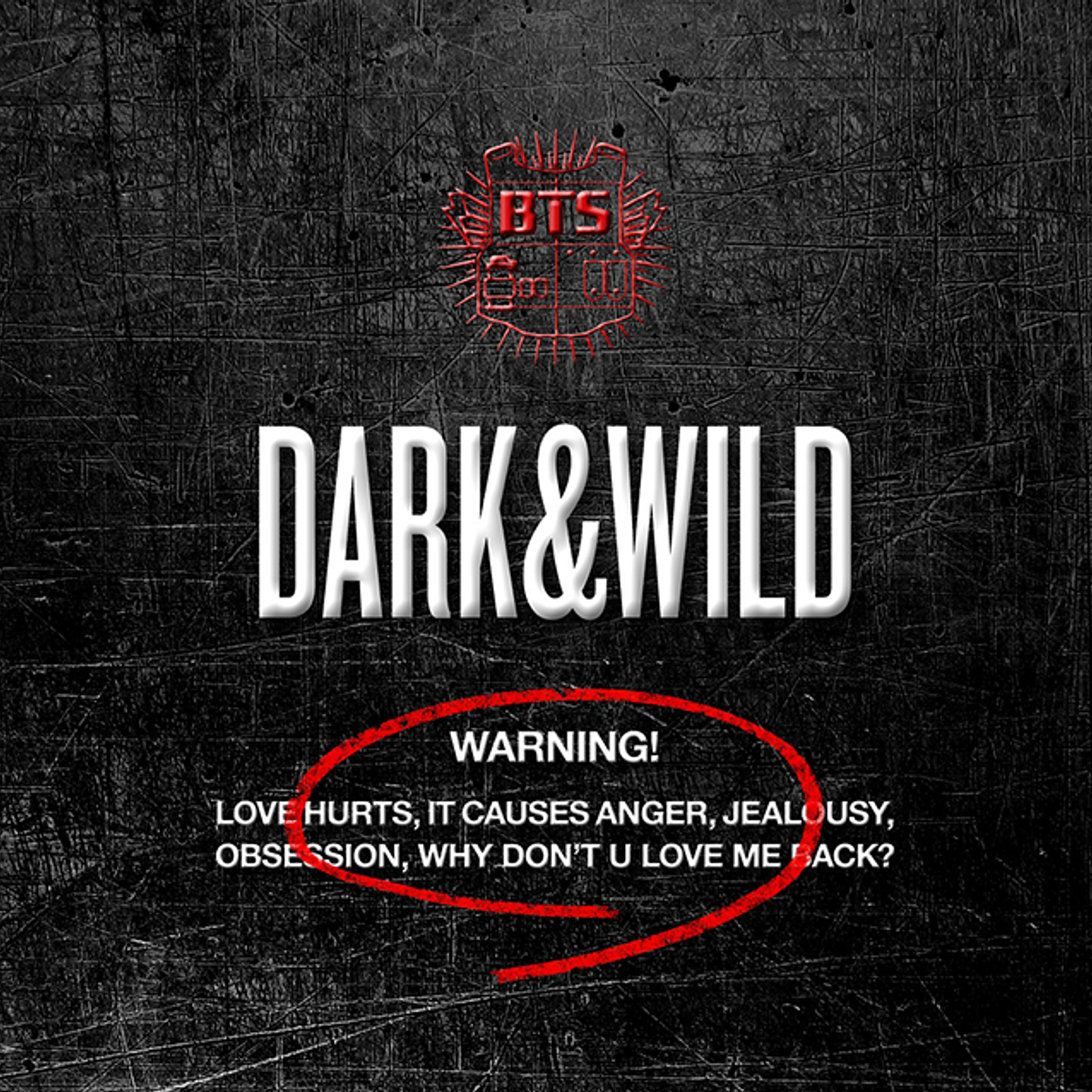 BTS - DARK & WILD