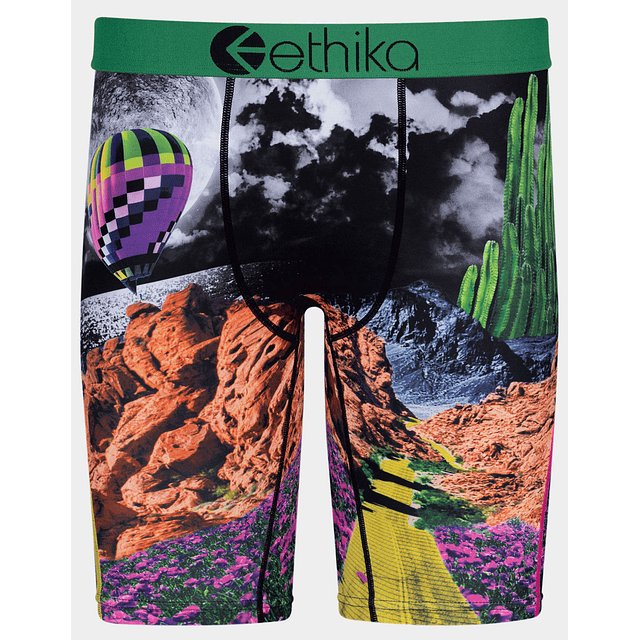 Boxer The STAPLE Ethika - Not in Kansas -