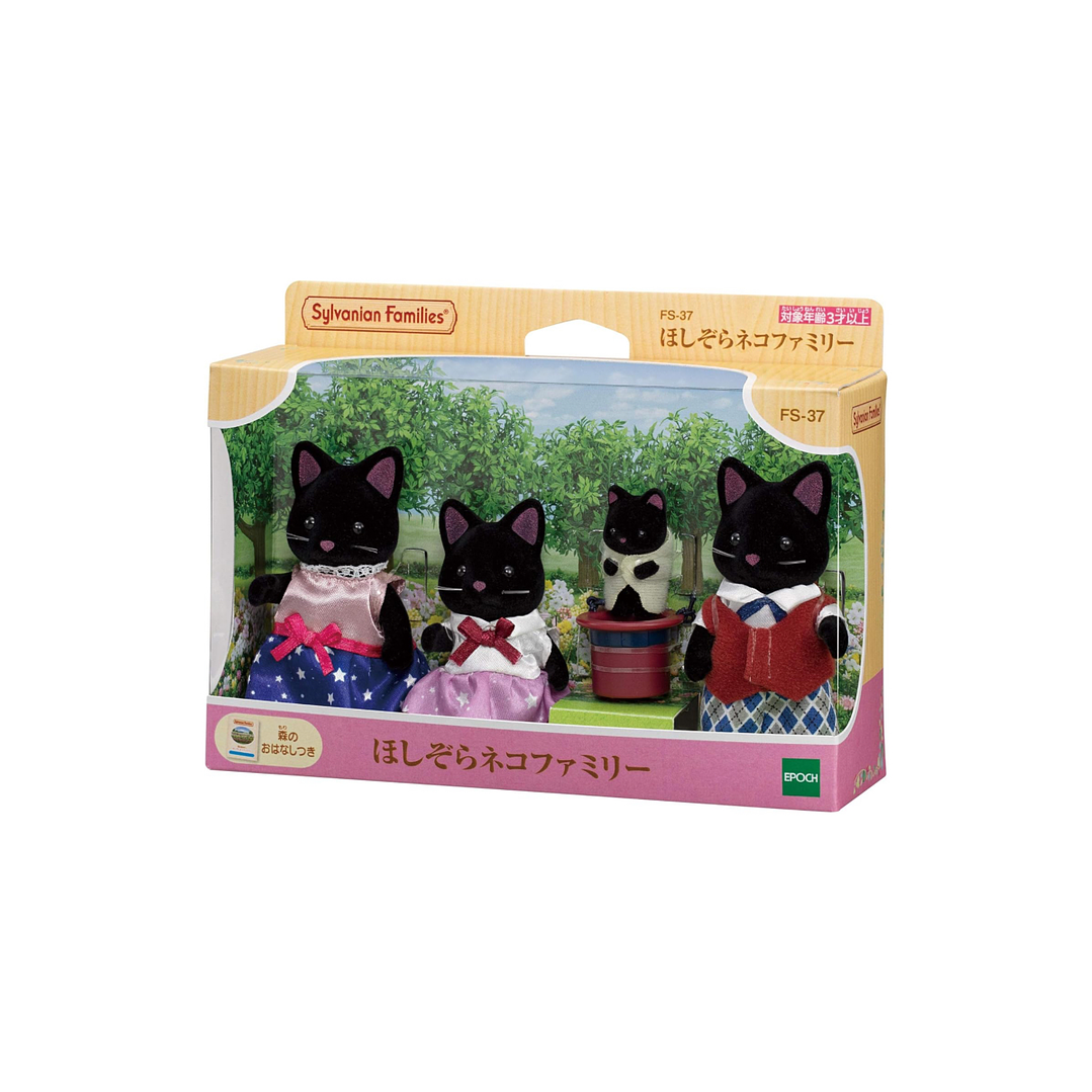 Familia gato negro 2