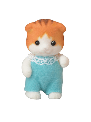 Gatito maple Kinder