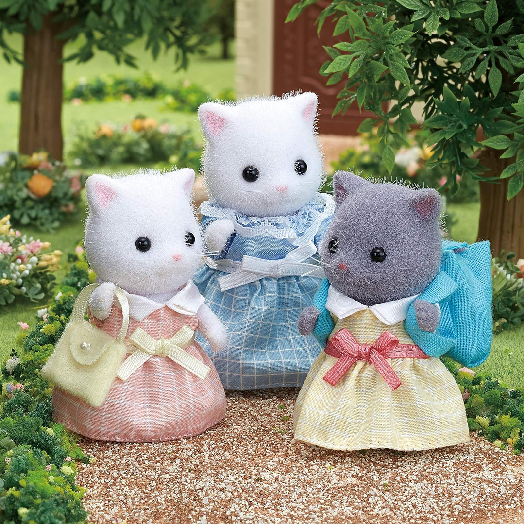 Familia gato persa 4