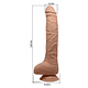 Dildo Realista con succión Baile 28 cm