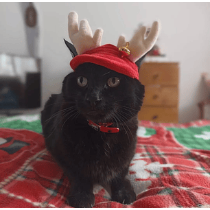 Gorro Reno Navidad