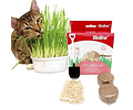 Hierba - Pasto Para Gatos - Kit De Siembra Completo Bioline