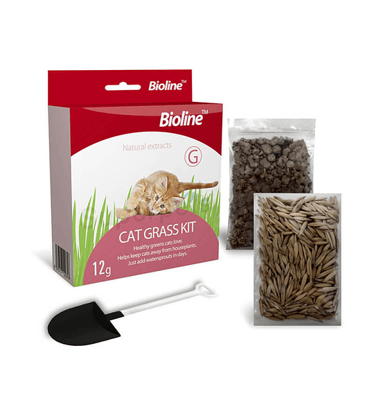 Hierba - Pasto Para Gatos - Kit De Siembra Completo Bioline