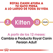 Alimento Royal Canin Gatito Persa 