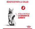 Alimento Royal Canin Gato Adulto Control Apetito