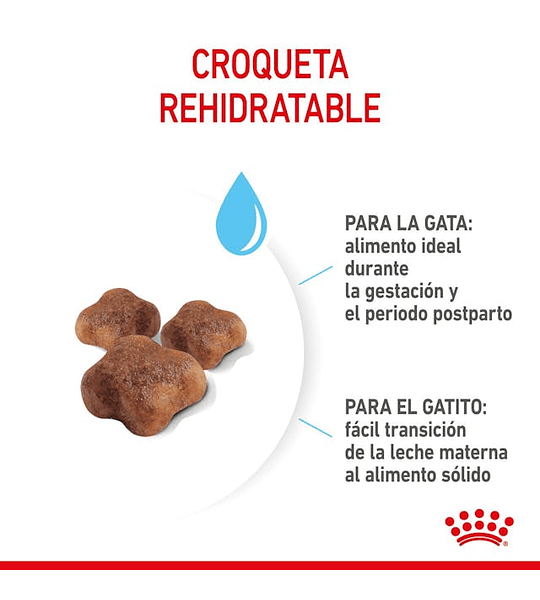 Alimento Mother Y Baby Royal Canin 