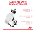 Alimento Mother Y Baby Royal Canin 