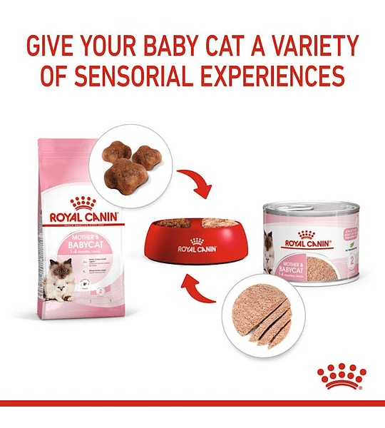 Alimento Mother Y Baby Royal Canin 