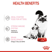 Alimento Royal Canin Kitten 85g