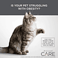 Diamond Care Weight Management Cat - Miniatura 5