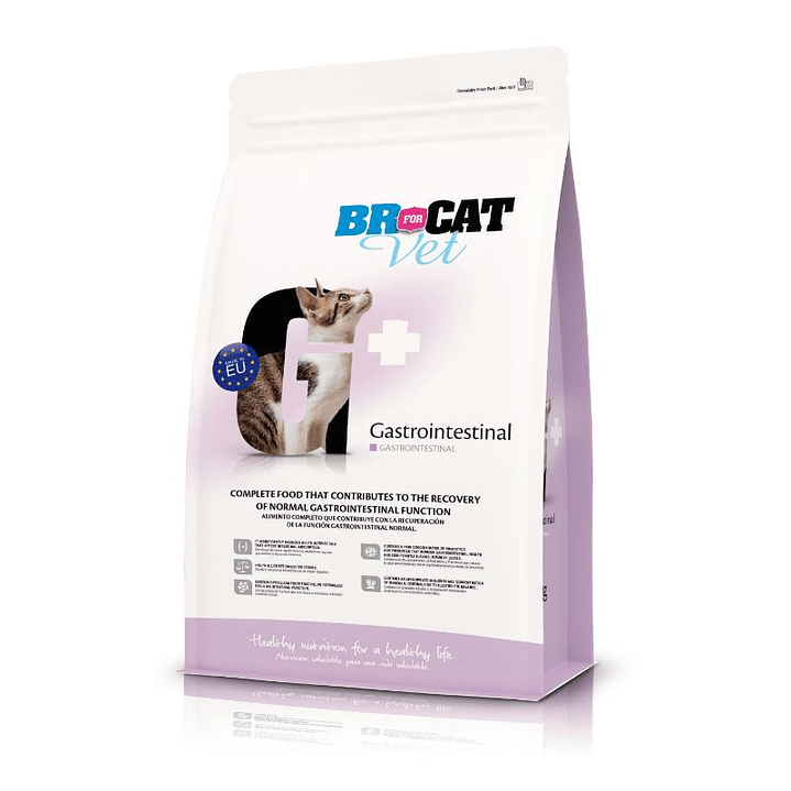 Alimento Br For Cat Gastrointestinal 1
