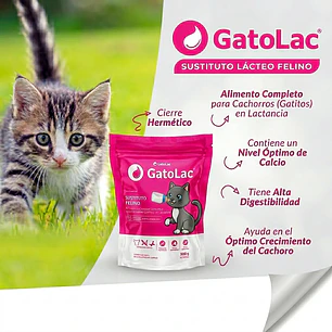 Gatolac Sustituto Lácteo Para Gatos Cachorros 350g