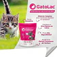 Gatolac Sustituto Lácteo Para Gatos Cachorros 350g - Miniatura 2