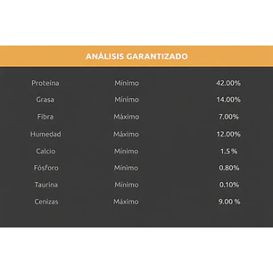 Alimento Agility Gold Gatitos