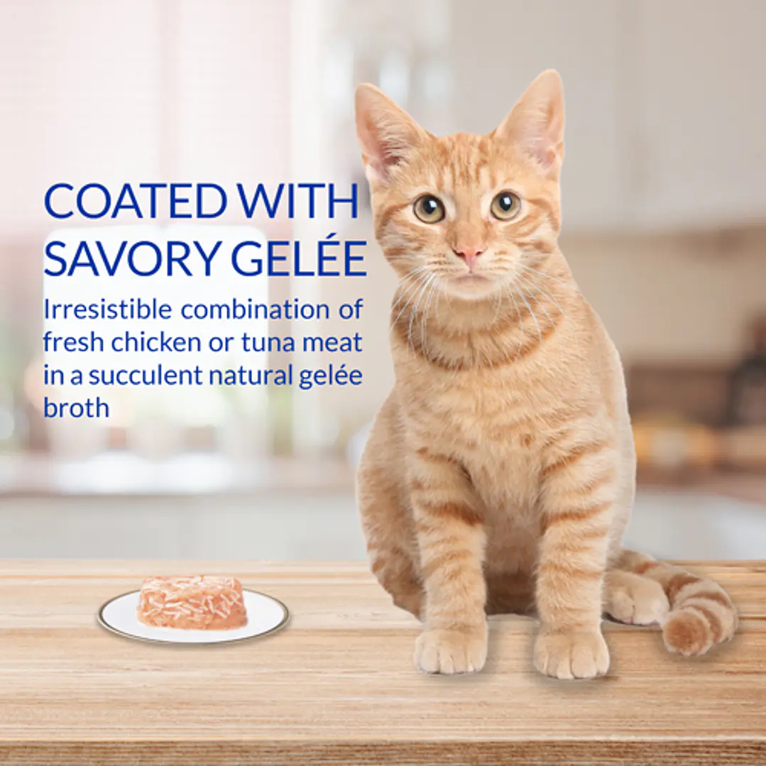 Alimento Humedo Inaba Cat - Twins  70 Gr 3
