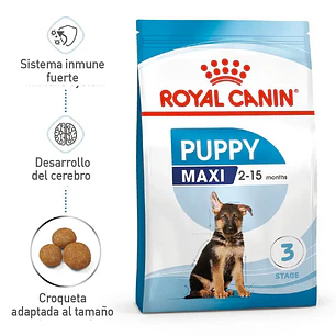Alimento Royal Canin Shn Maxi Puppy