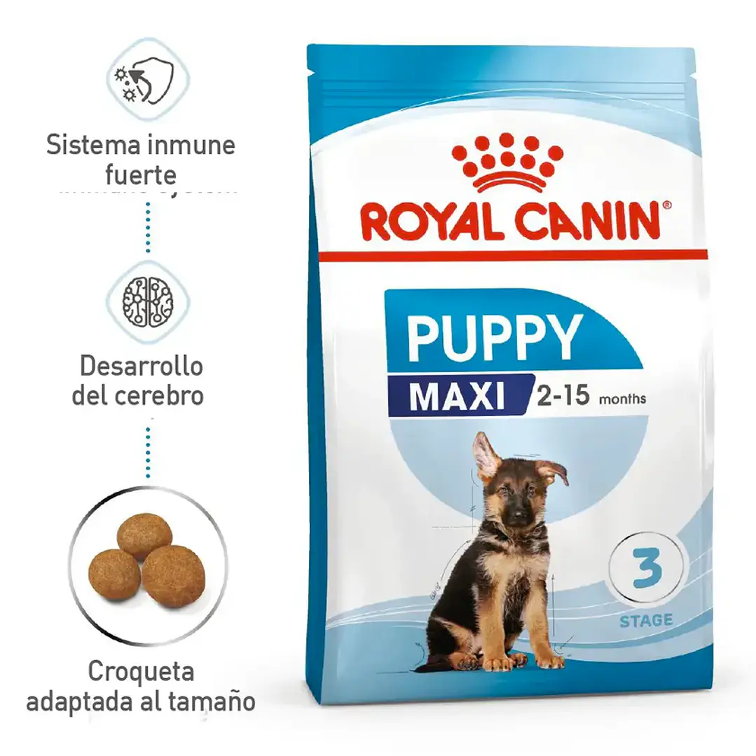 Alimento Royal Canin Shn Maxi Puppy 1