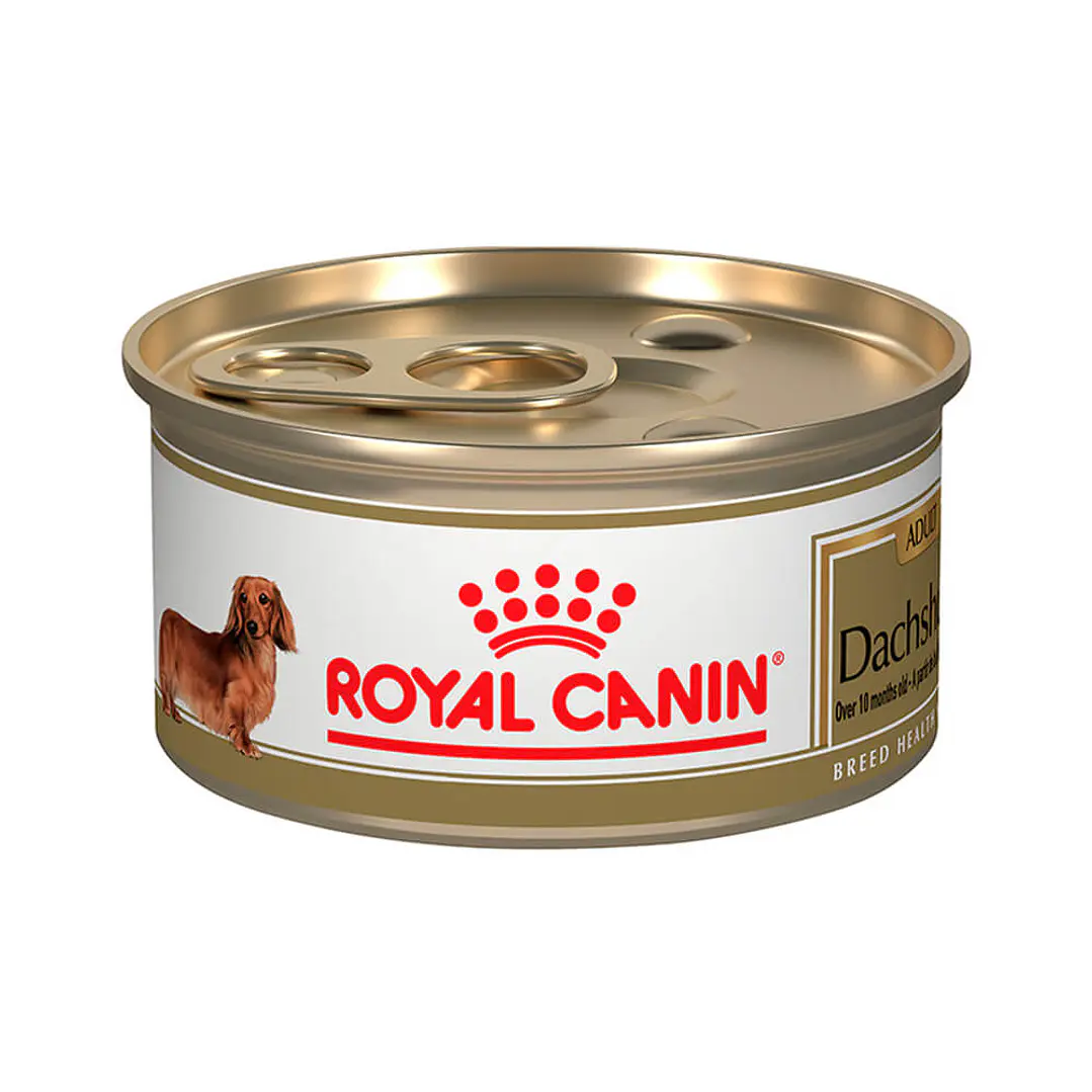 Alimento Royal Canin Salchicha Dachshund Lata 3oz 1