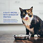 Alimento Inaba Cat - Caldo 40 Gr - Miniatura 6