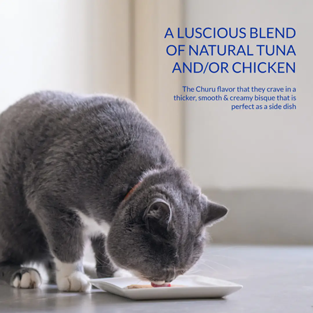 Inaba Cat - Bisque  40 Gr 7