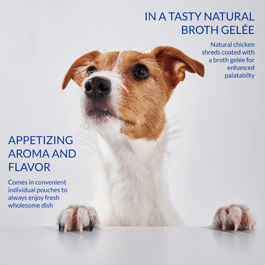 Alimento Inaba Dog Twin Packs 80g 6